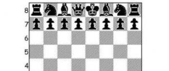 Советы начинающим шахматистам